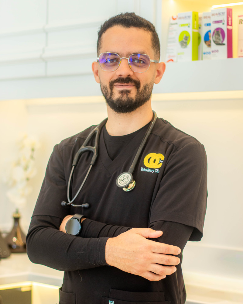 Dr. Michel Felipe Soares Souza