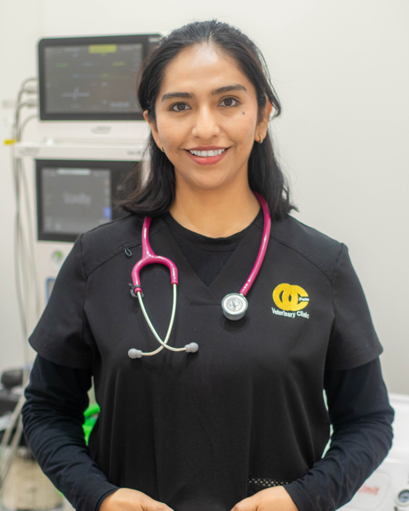 Dr. Paola Castillo Loza